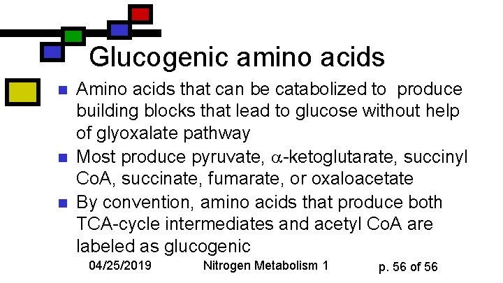 Glucogenic amino acids n n n Amino acids that can be catabolized to produce