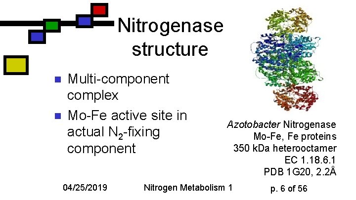 Nitrogenase structure n n Multi-component complex Mo-Fe active site in actual N 2 -fixing