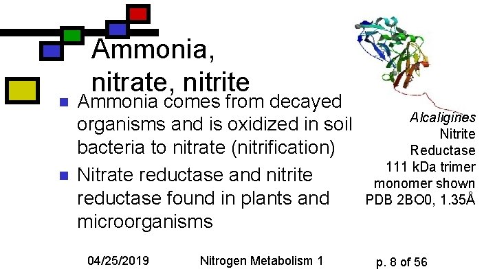 n n Ammonia, nitrate, nitrite Ammonia comes from decayed organisms and is oxidized in