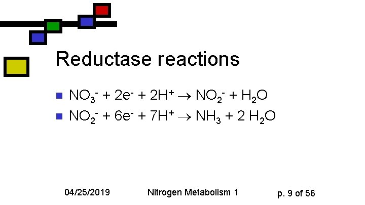 Reductase reactions n n NO 3 - + 2 e- + 2 H+ NO