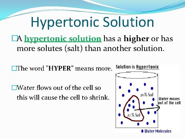 Hypertonic Solution �A hypertonic solution has a higher or has more solutes (salt) than