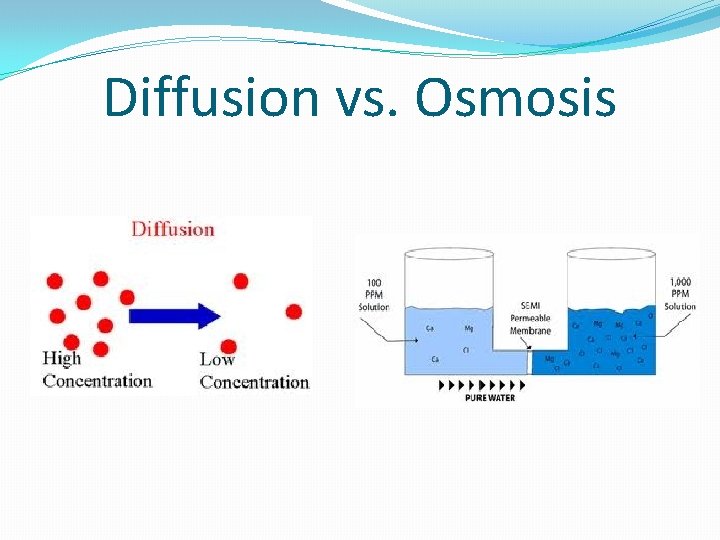 Diffusion vs. Osmosis 