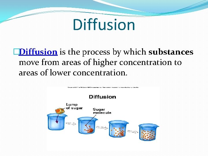Diffusion �Diffusion is the process by which substances move from areas of higher concentration