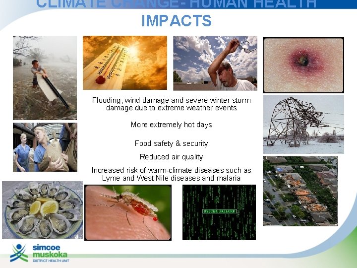 CLIMATE CHANGE- HUMAN HEALTH IMPACTS Flooding, wind damage and severe winter storm damage due
