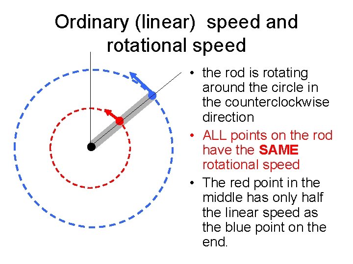 Ordinary (linear) speed and rotational speed • the rod is rotating around the circle