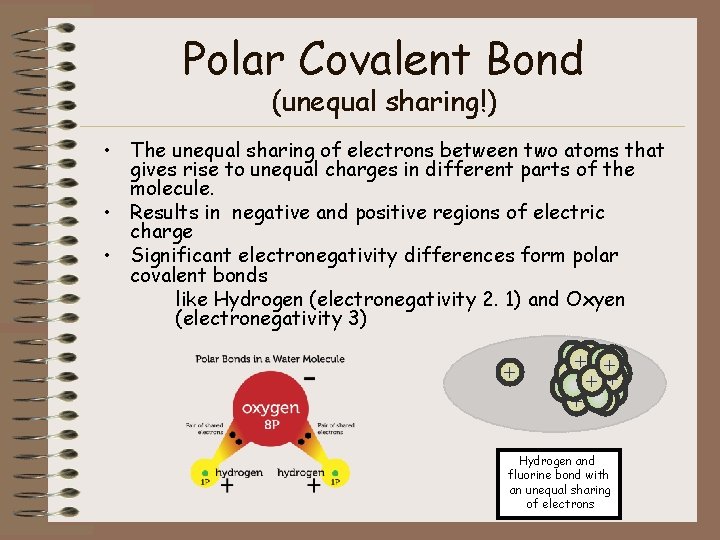 Polar Covalent Bond (unequal sharing!) • The unequal sharing of electrons between two atoms