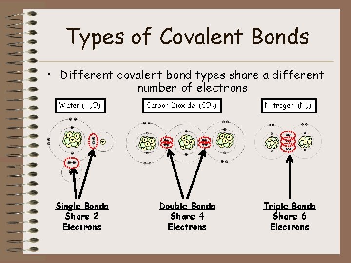 Types of Covalent Bonds • Different covalent bond types share a different number of