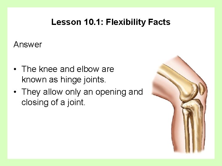 Lesson 10. 1: Flexibility Facts Answer • The knee and elbow are known as