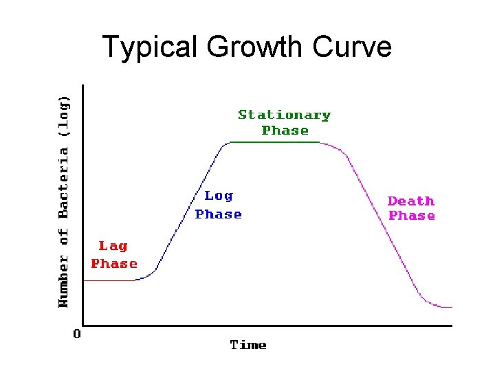 Typical Growth Curve 