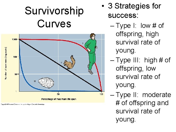 Survivorship Curves • 3 Strategies for success: – Type I: low # of offspring,