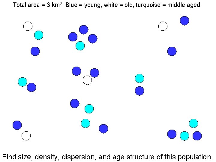 Total area = 3 km 2 Blue = young, white = old, turquoise =