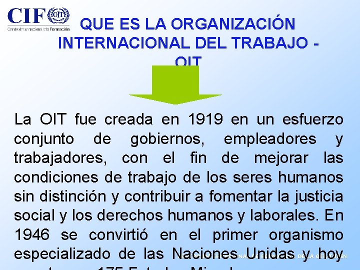 QUE ES LA ORGANIZACIÓN INTERNACIONAL DEL TRABAJO OIT La OIT fue creada en 1919