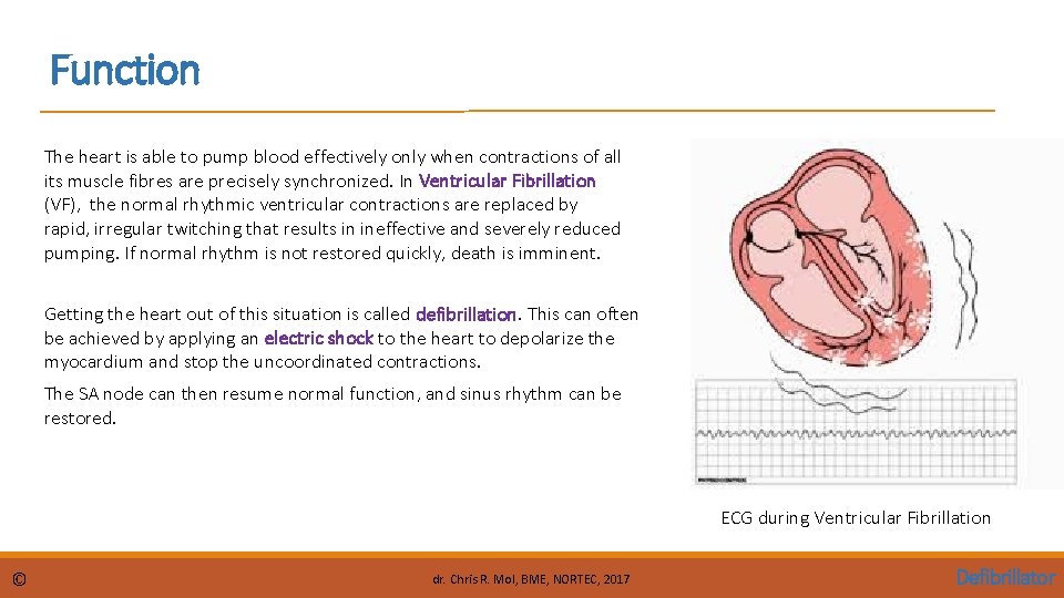 Function The heart is able to pump blood effectively only when contractions of all