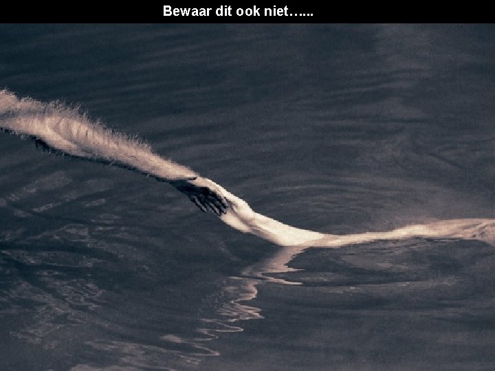 Bewaar dit ook niet…. . . 