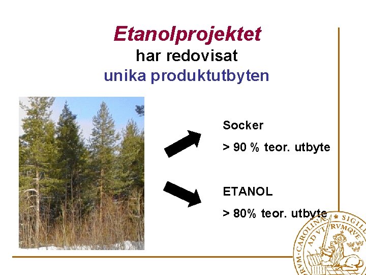 Etanolprojektet har redovisat unika produktutbyten Socker > 90 % teor. utbyte ETANOL > 80%