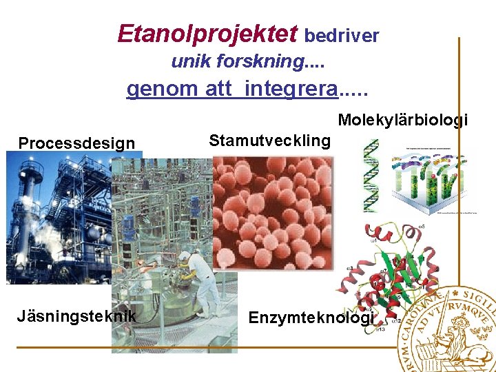 Etanolprojektet bedriver unik forskning. . genom att integrera. . . Molekylärbiologi Processdesign Jäsningsteknik Stamutveckling