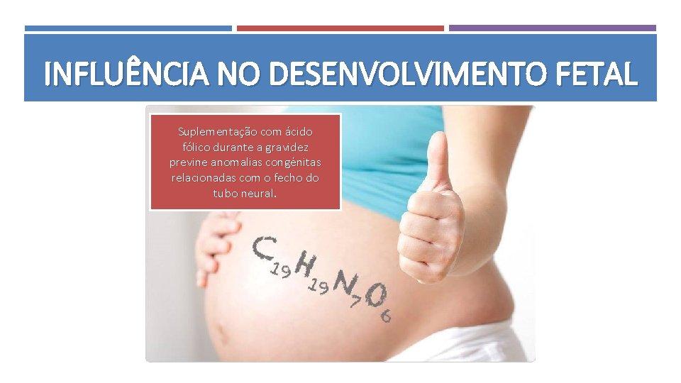 INFLUÊNCIA NO DESENVOLVIMENTO FETAL Suplementação com ácido fólico durante a gravidez previne anomalias congénitas