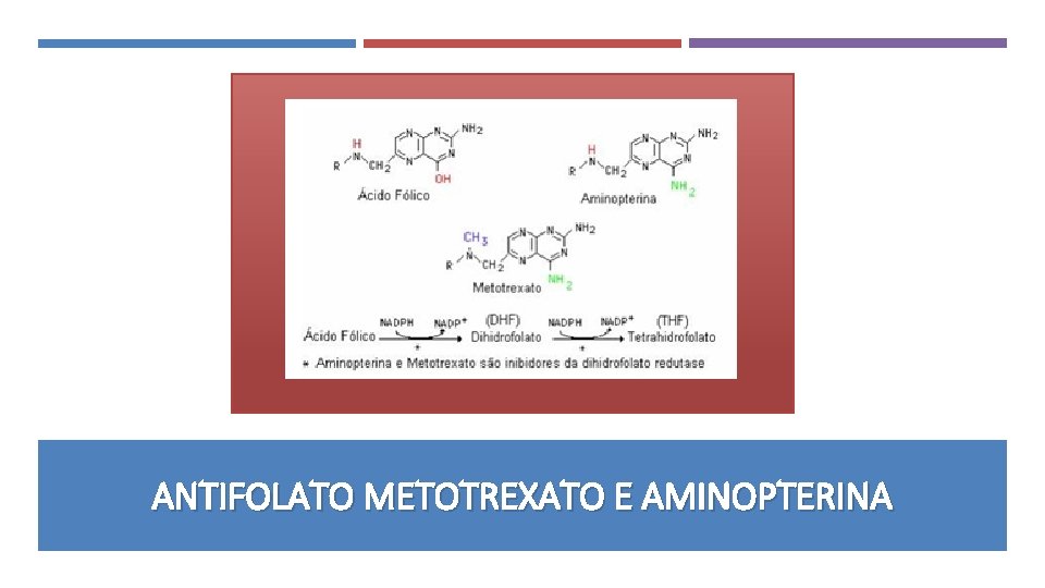 ANTIFOLATO METOTREXATO E AMINOPTERINA 