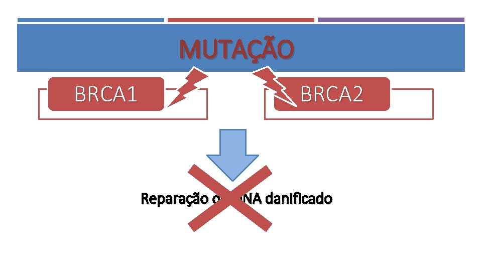 MUTAÇÃO BRCA 1 BRCA 2 Reparação do DNA danificado 