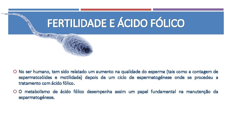 FERTILIDADE E ÁCIDO FÓLICO No ser humano, tem sido relatado um aumento na qualidade