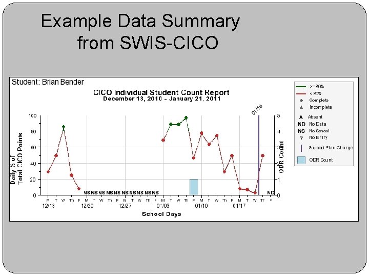 Example Data Summary from SWIS-CICO 