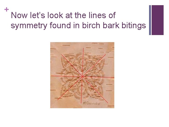 + Now let’s look at the lines of symmetry found in birch bark bitings