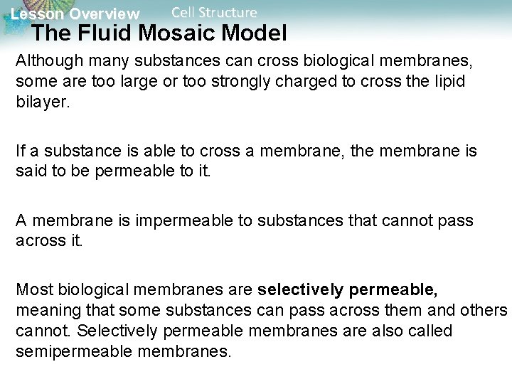 Lesson Overview Cell Structure The Fluid Mosaic Model Although many substances can cross biological