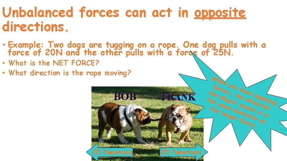 Unbalanced forces can act in opposite directions. • Example: Two dogs are tugging on