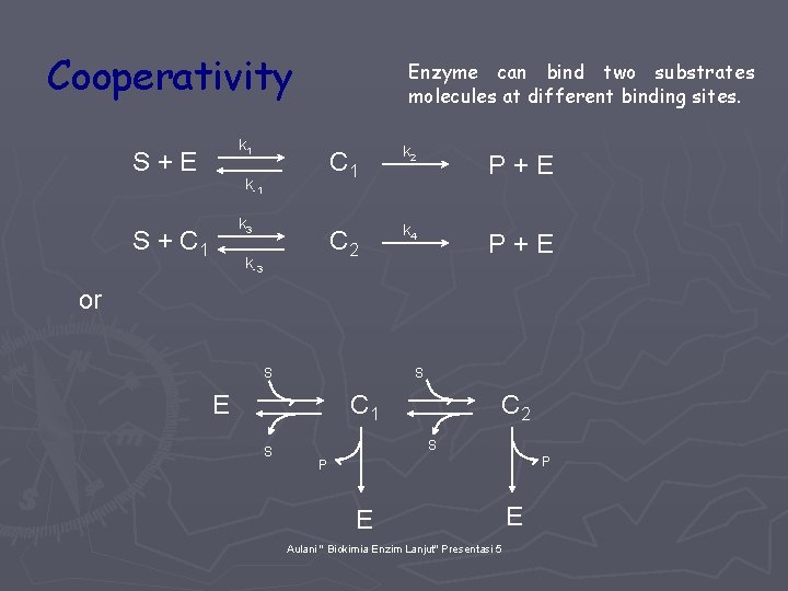 Cooperativity Enzyme can bind two substrates molecules at different binding sites. k 1 S+E