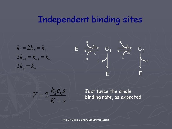 Independent binding sites S S 2 k+ E C 1 k. S k+ 2