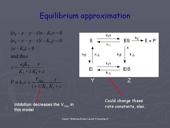 Equilibrium approximation X Y Inhibition decreases the Vmax in this model Z Could change