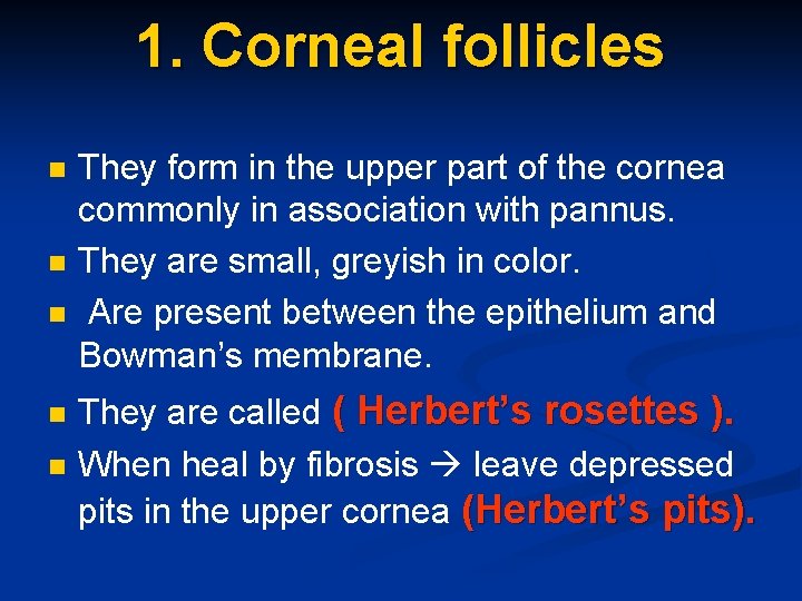 1. Corneal follicles n n n They form in the upper part of the