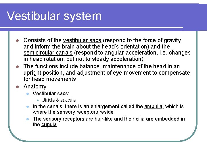 Vestibular system Consists of the vestibular sacs (respond to the force of gravity and