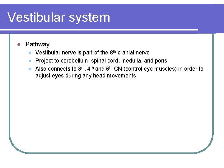 Vestibular system l Pathway l l l Vestibular nerve is part of the 8