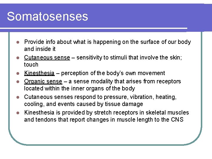 Somatosenses l l l Provide info about what is happening on the surface of