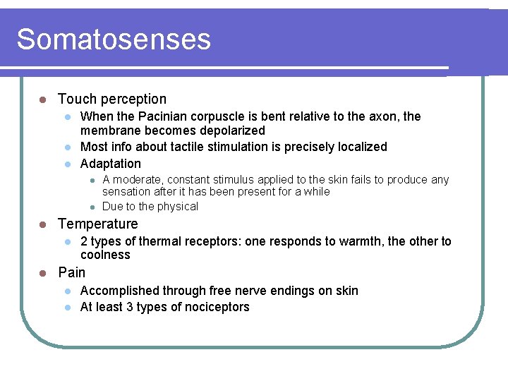 Somatosenses l Touch perception l l l When the Pacinian corpuscle is bent relative