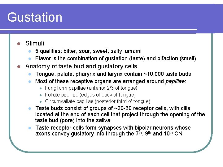 Gustation l Stimuli l l l 5 qualities: bitter, sour, sweet, salty, umami Flavor