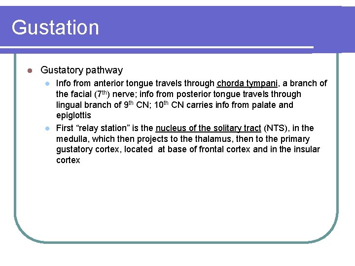 Gustation l Gustatory pathway l l Info from anterior tongue travels through chorda tympani,