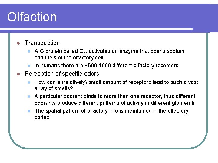 Olfaction l Transduction l l l A G protein called Golf activates an enzyme