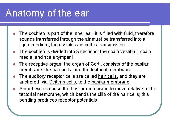 Anatomy of the ear l l l The cochlea is part of the inner