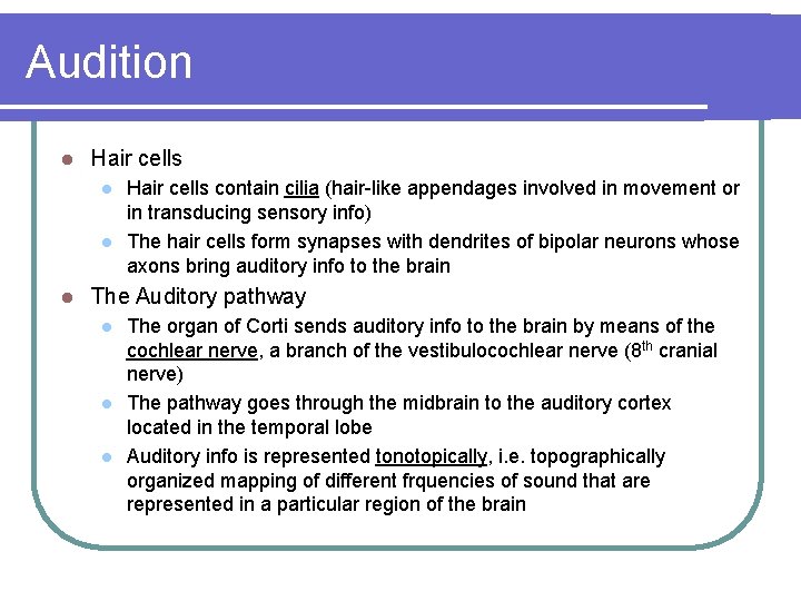 Audition l Hair cells l l l Hair cells contain cilia (hair-like appendages involved