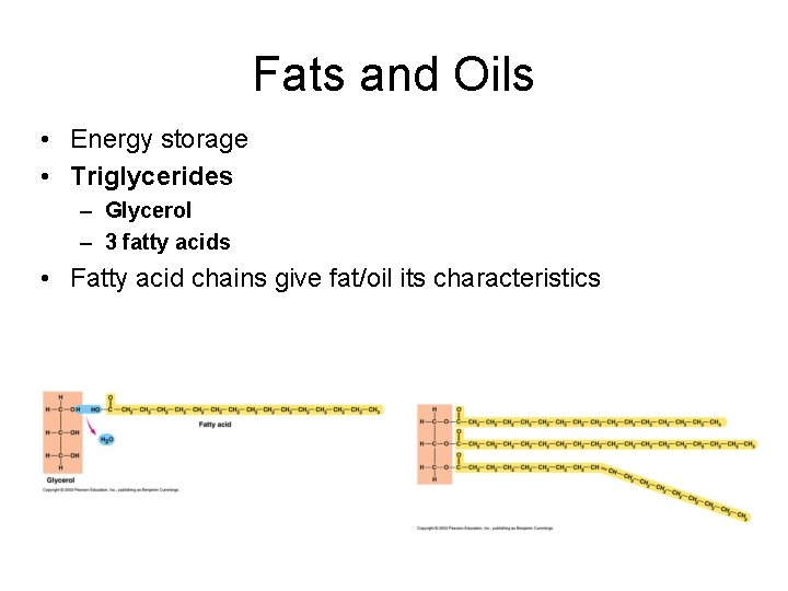 Fats and Oils • Energy storage • Triglycerides – Glycerol – 3 fatty acids