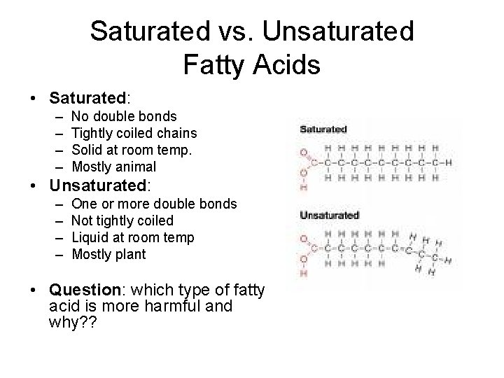Saturated vs. Unsaturated Fatty Acids • Saturated: – – No double bonds Tightly coiled