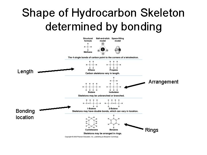 Shape of Hydrocarbon Skeleton determined by bonding Length Arrangement Bonding location Rings 