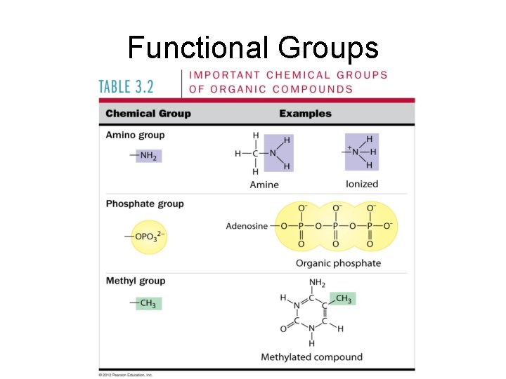 Functional Groups 