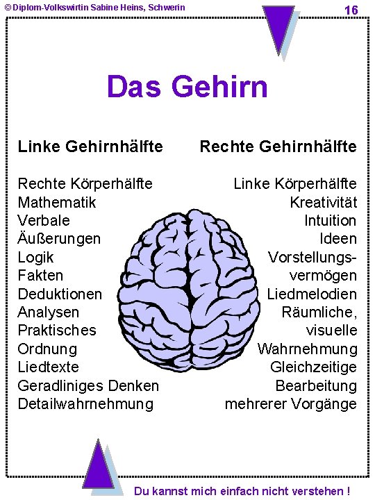 © Diplom-Volkswirtin Sabine Heins, Schwerin 16 Das Gehirn Linke Gehirnhälfte Rechte Körperhälfte Mathematik Verbale