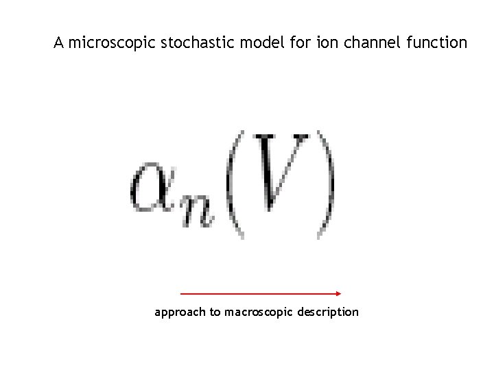 A microscopic stochastic model for ion channel function approach to macroscopic description 