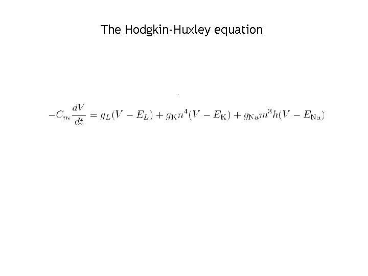 The Hodgkin-Huxley equation 