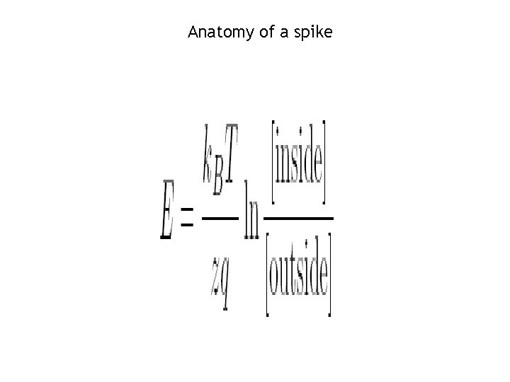 Anatomy of a spike 