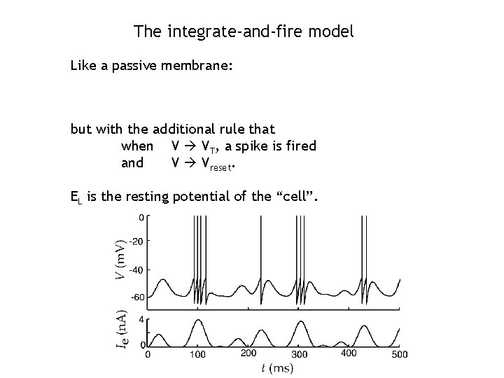 The integrate-and-fire model Like a passive membrane: but with the additional rule that when